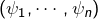 \left(\psi_{1},\cdots,\psi_{n}\right)