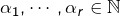 \alpha_{1},\cdots,\alpha_{r}\in\mathbb{N}