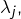 \lambda_{j},